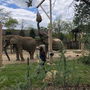 Meet your Posher, Hailey